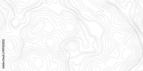 Topographic Map Seamless Pattern illustration of white background,  Favorable  isolines pattern. Vector illustration.
