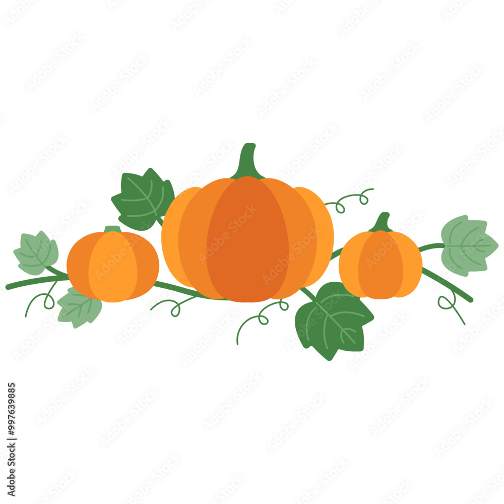 Obraz premium pumkin