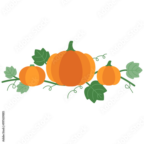 pumkin