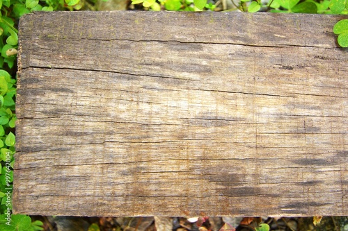 wooden board with leaves