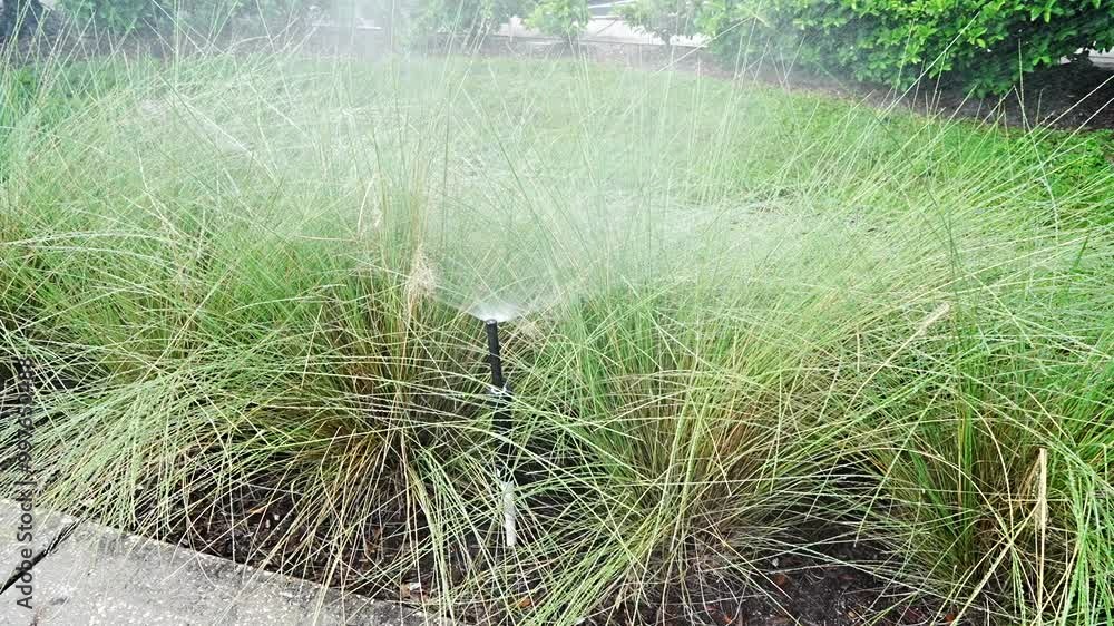 Garden Irrigation Spray system, taken in Florida Garden Irrigation Spray system, taken in Florida