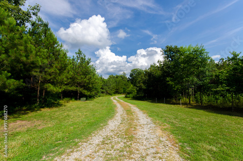 Curving Rural Gravel Path Through Vibrant Green Countryside