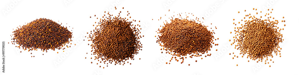 Set of mustard seeds isolated on white background Set of mustard seeds isolated on white background
