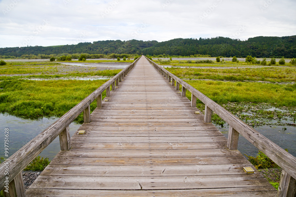Fototapeta premium Horaibashi bridge in Shimada City, Shizuoka Prefecture, Japan.