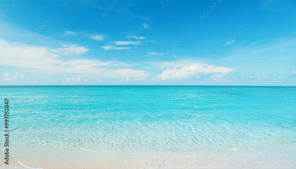 Fototapeta premium 青空と透き通る海の風景