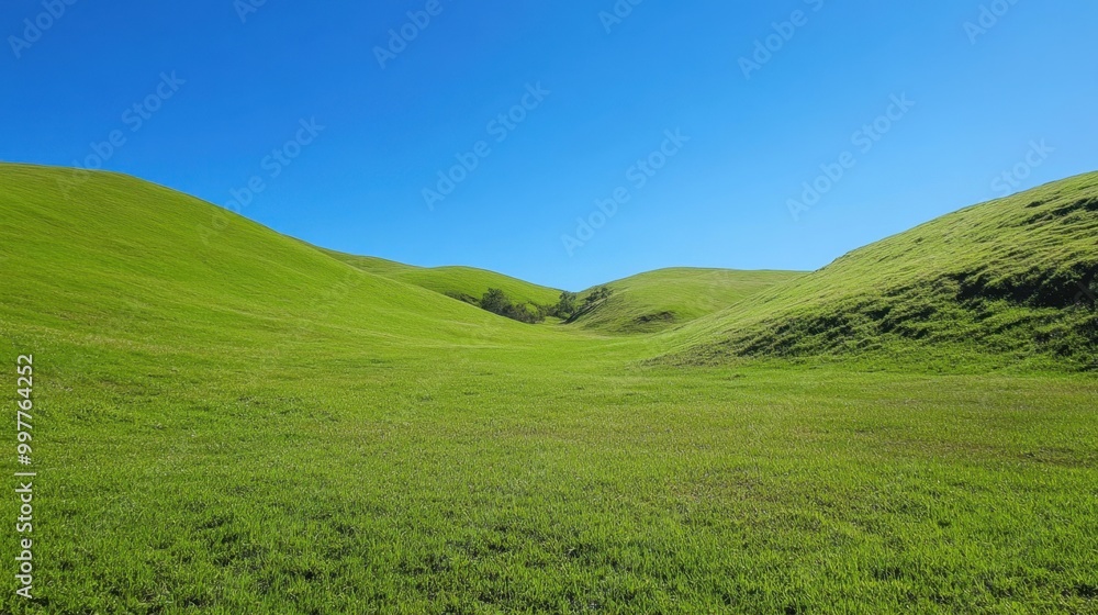 A clear hillside with patches of vibrant green grass and a crisp blue sky overhead, creating a feeling of openness and tranquility A clear hillside with patches of vibrant green grass and a crisp blue sky overhead, creating a feeling of openness and tranquility