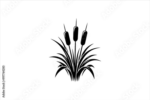 Cattail silhouette Vector icon on white background. Cattail reeds vector silhouette.
a set of Cattail reeds silhouette isolated on a white background.