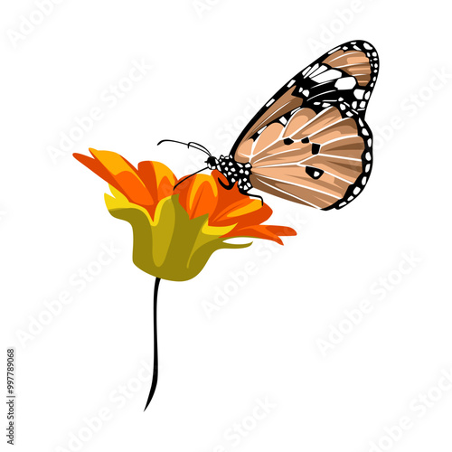 beautiful flat design butterfly vector illustration