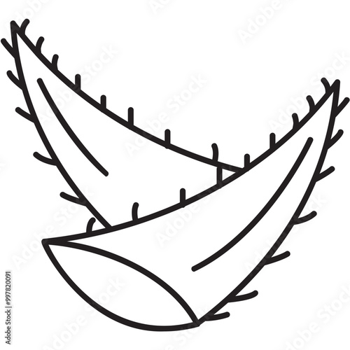 Aloe Vera Icon