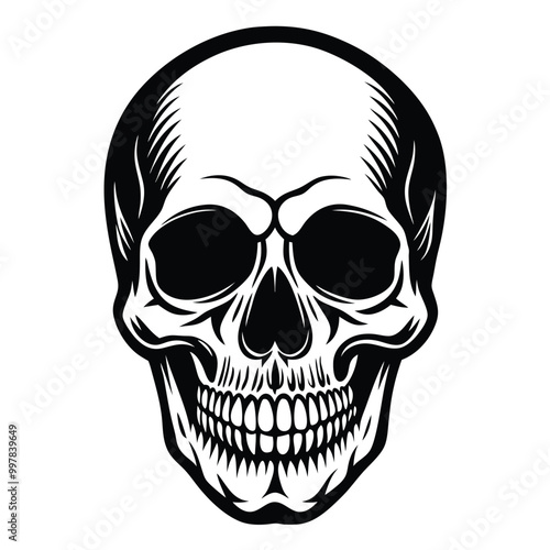 Human Skull Vector Design.