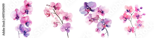 Set of watercolor orchids in pink and purple tones isolated on white background