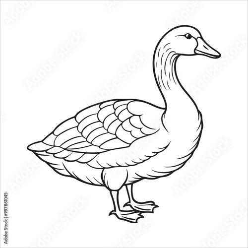 A Goose Vector Art Illustration