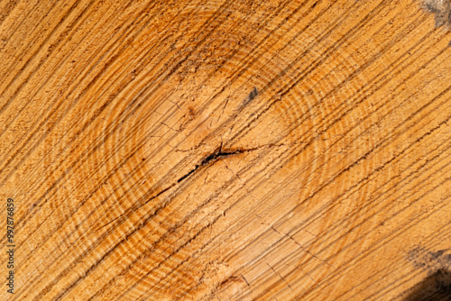 Close-up of a cross section of a tree with a distinct pattern in the centre showing growth rings and natural texture. Concept of tree age, silviculture and natural patterns. High quality photo