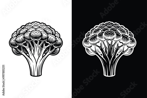 Broccoli silhouette Icon for design. Easily editable black white background.