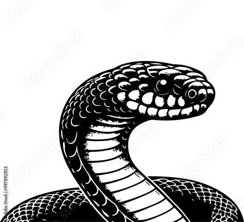 black mamba snake hand drawn vector graphic asset