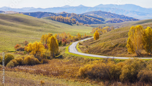 Autumn landscape with road, golden fall, sunny day