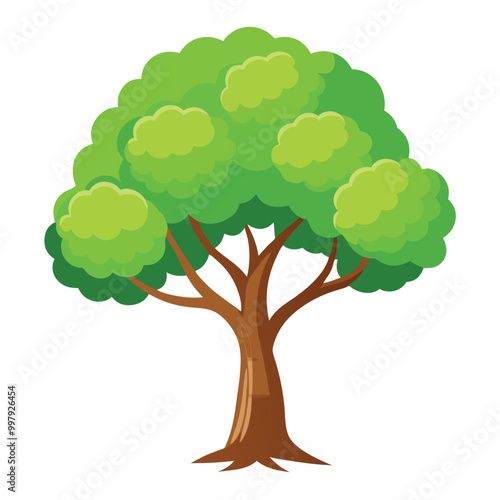 Illustration of Poplar tree isolated on white Background.