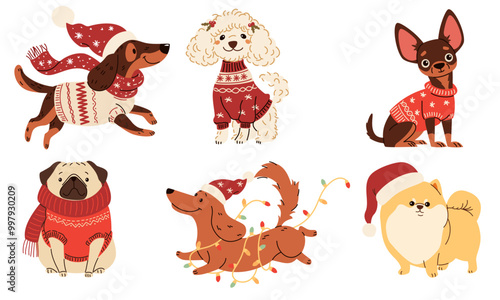 A set of vector illustrations in children's style on Christmas theme. Cute dogs in warm sweaters and scarves, Santa Claus hat and Christmas garland. Dachshund Pug Spitz Poodle Spaniel Chihuahua