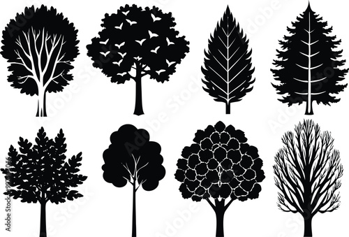 Set of different types of silhouette Poplar tree, vector illustration on white background.