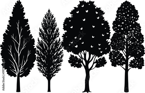 Set of different types of silhouette Poplar tree, vector illustration on white background.