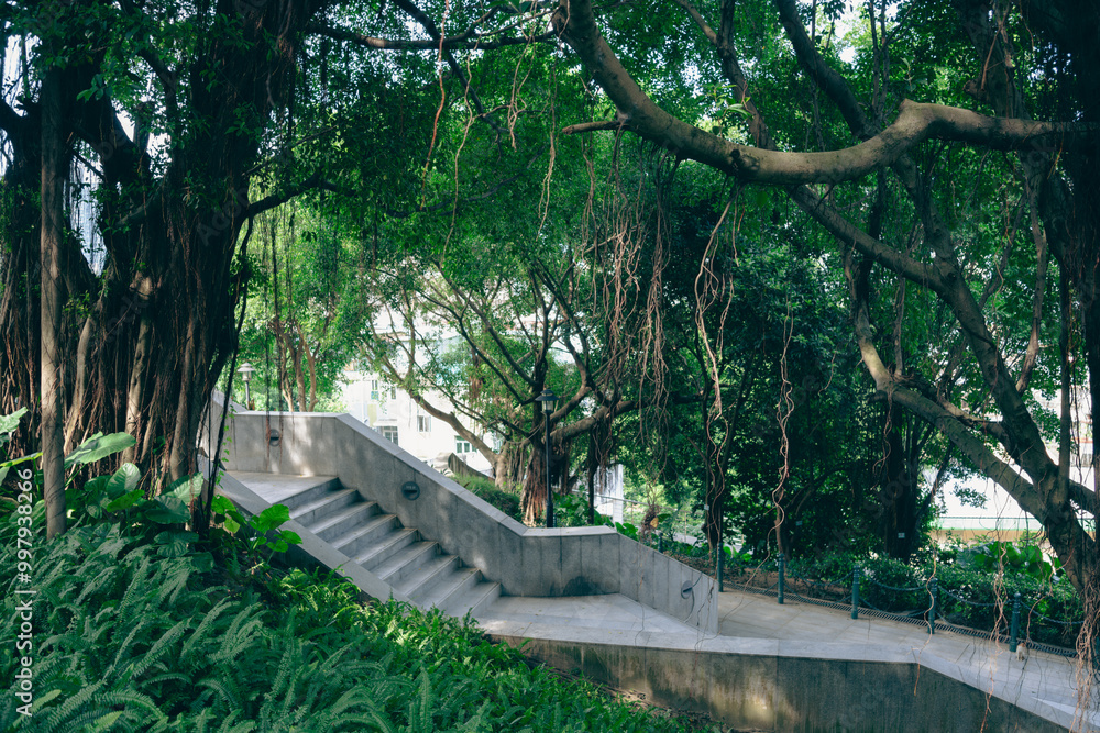 Mount Fortress forest park in Macau