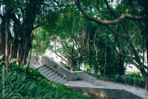 Mount Fortress forest park in Macau