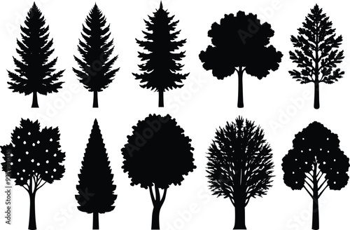 Set of different types of silhouette Poplar tree, vector illustration on white background.