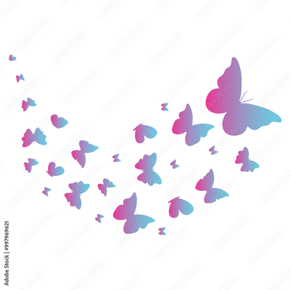 Butterfly Gradient Butterfly Gradient