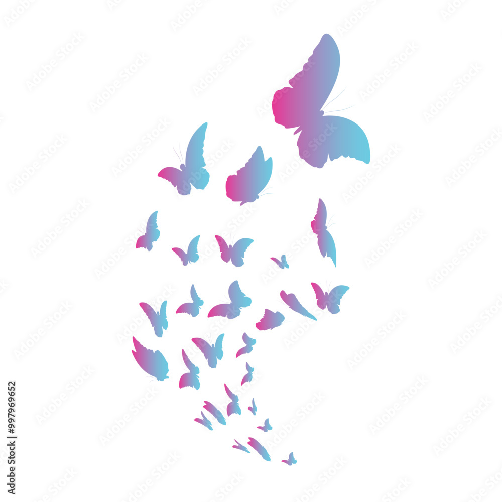 Butterfly Gradient Butterfly Gradient