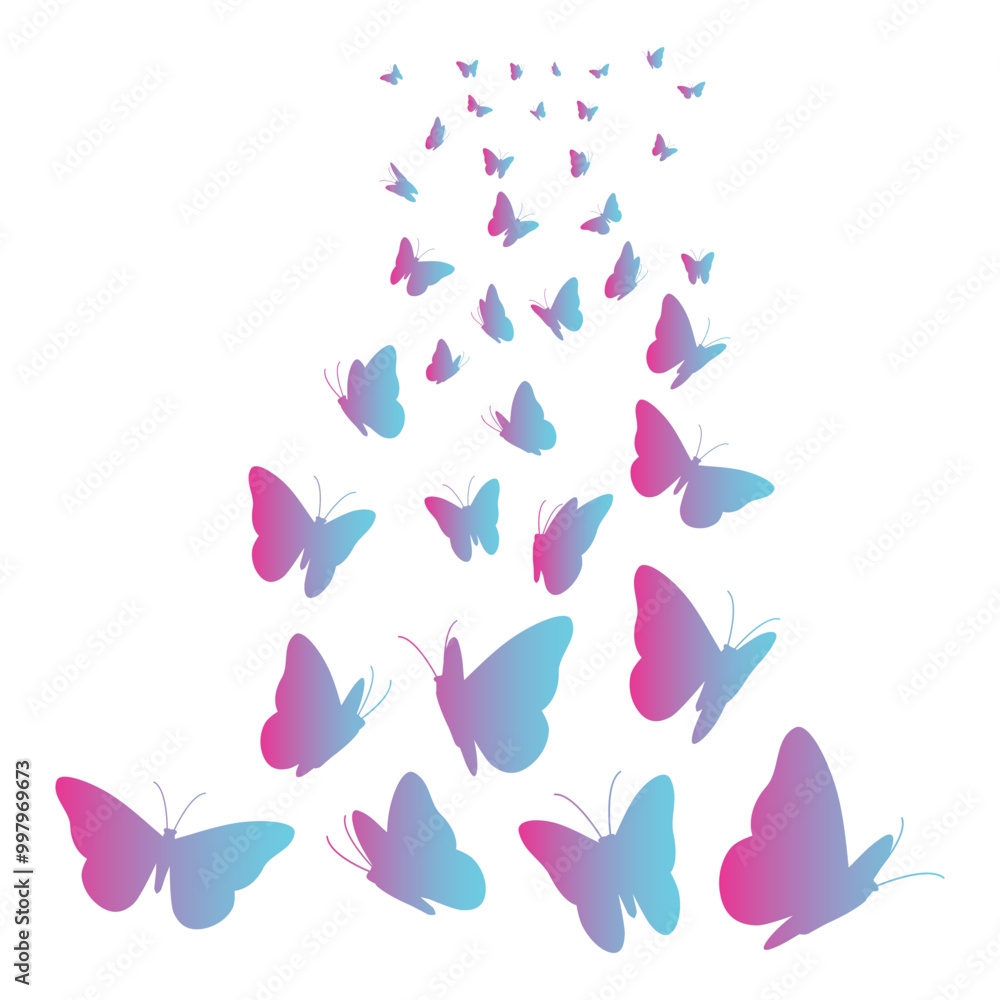 Butterfly Gradient Butterfly Gradient