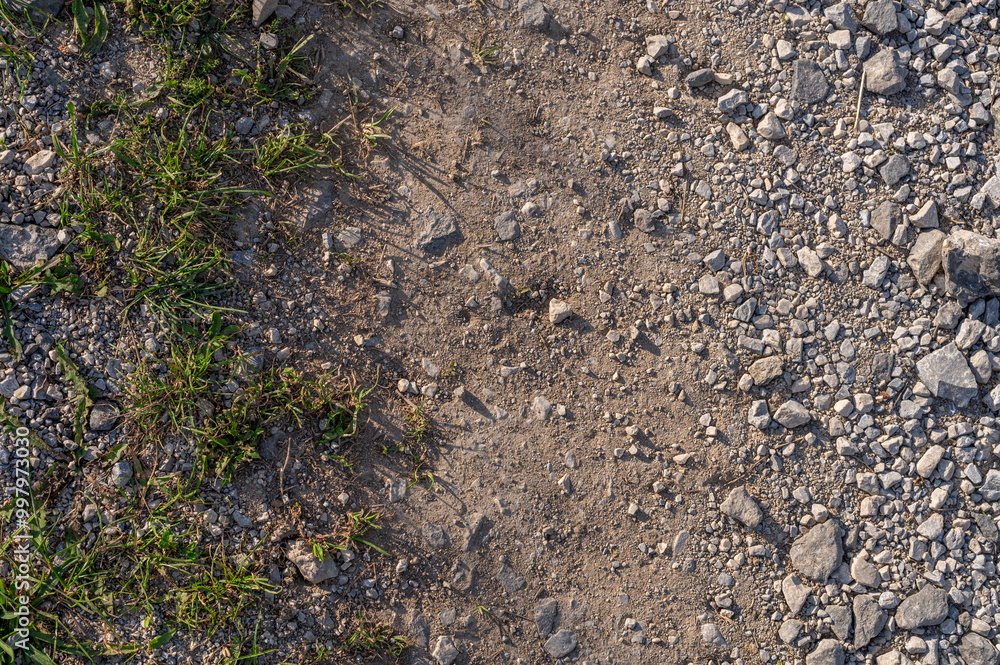 Textured Terrain: A Close-Up of Gravel and Grass Textured Terrain: A Close-Up of Gravel and Grass
