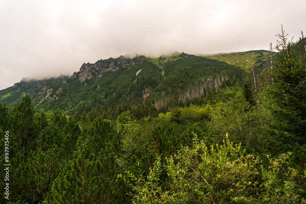Mountain landscape, dark spruce forest in cloudy weather. High Tatras mountains of Tatra national park
