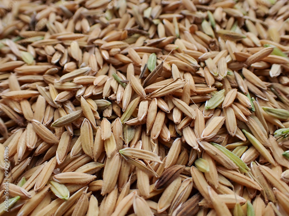 Top view of raw wholewheat rice. A close-up pile of organic Rice. Closeup organic mixed rice grain and rice texture for background. Top view of raw wholewheat rice. A close-up pile of organic Rice. Closeup organic mixed rice grain and rice texture for background.