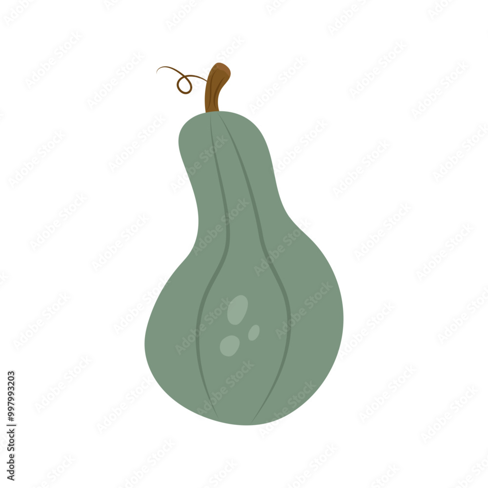 Ripe green pumpkin isolated on white background. Ripe green pumpkin isolated on white background.