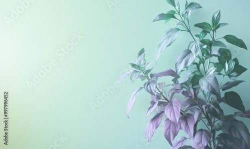 A green background with a purple leafy plant in the foreground