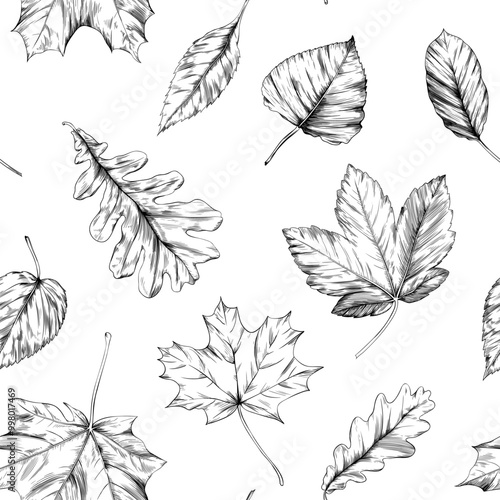 Seamless pattern with autumn leaves. Hand drawn illustration isolate on white.