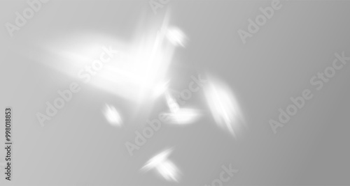 Abstract shadow on white concrete wall.Soft overlay of natural light.Natural light layout.