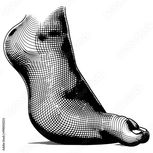 人間の足の甲の銅版画イラスト 