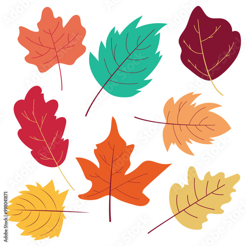 set of autumn leaves vector hand drawn colorful 