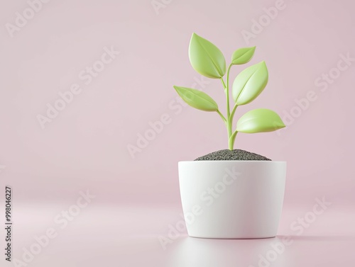 Elegant Indoor Plant Displayed in a Minimalist White Pot, Adding a Touch of Nature and Serenity to Modern Home Decor