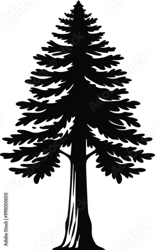 Natural silhouette of a redwood tree or tree pine silhouette vector logo. template tree isolated