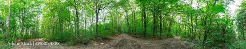 The 360-degree panorama of nature in a day