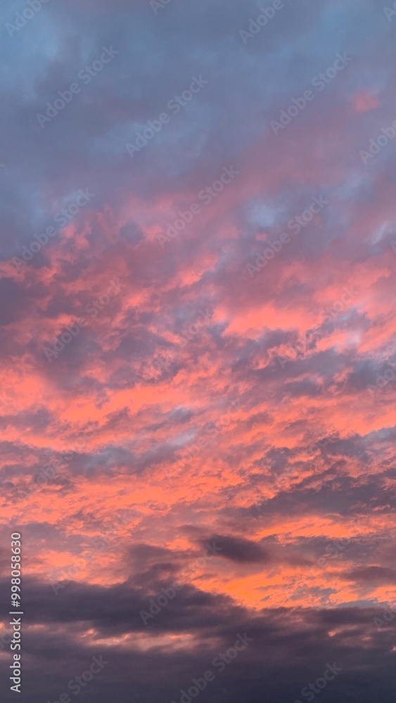 Obraz premium red sunset sky