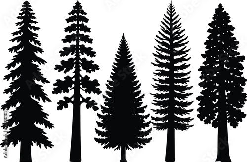 Silhouettes of different kind of Sequoia trees stock illustration.