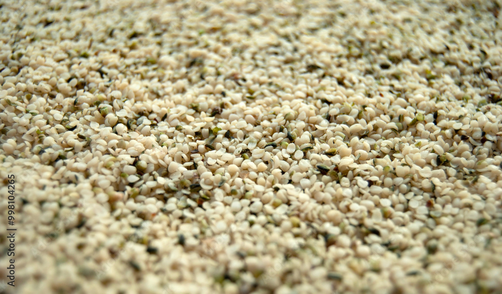 Hemp seeds background. Organic hemp seeds close-up. Hemp seeds background. Organic hemp seeds close-up.