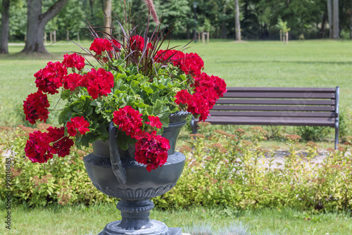 Foto red flowers with vase on bench in garden background