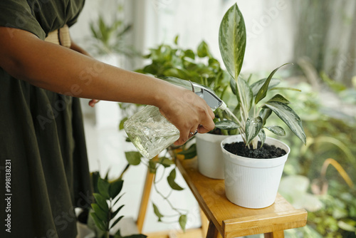 Fotografie Person watering indoor plants on wooden table with watering can focusing on plants