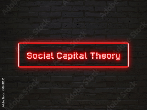 Social Capital Theory のネオン文字