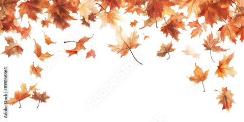 Autumn Maple Leaves Border on White Background