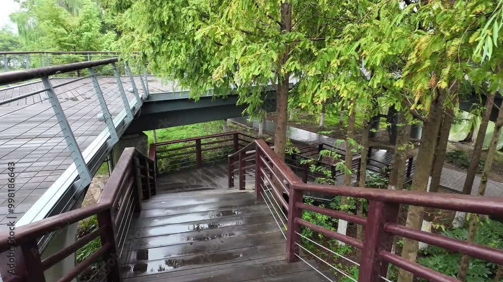 an elevated wooden boardwalk with stairs and railings, winding through a public urban park with lush green trees. A refreshing atmosphere after rain. Yinzhou Park, Ningbo, China an elevated wooden boardwalk with stairs and railings, winding through a public urban park with lush green trees. A refreshing atmosphere after rain. Yinzhou Park, Ningbo, China